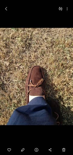 Premium stylish brown suede loafers