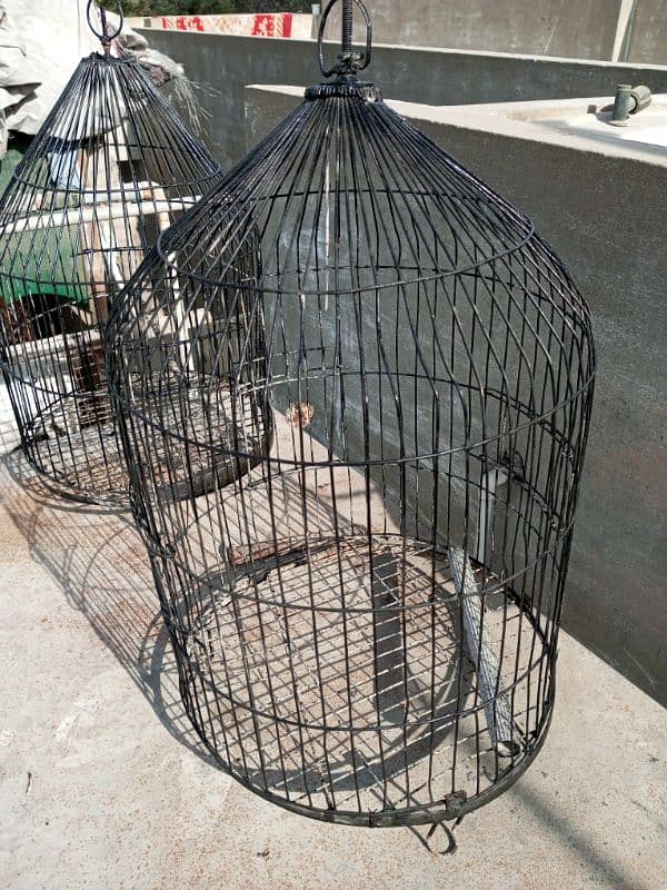 parrot cages 1