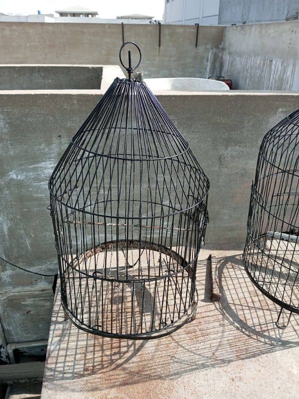 parrot cages 2