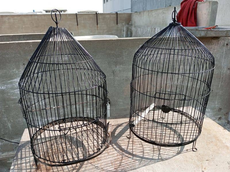 parrot cages 4