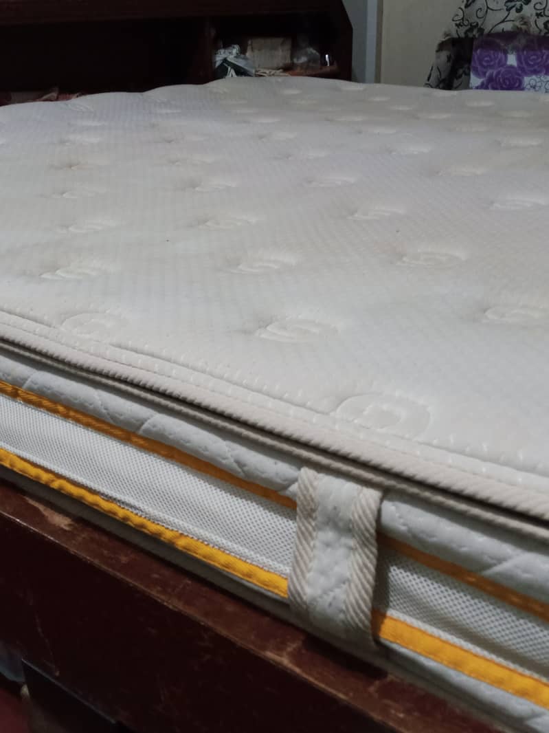 Master Celeste AlphaPlus Bonnell Spring Mattress 3