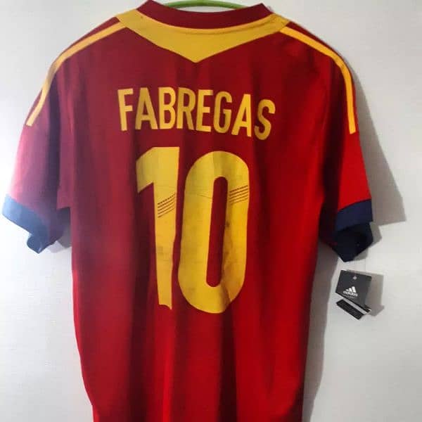 Spain World Cup edition jersey 2013-14 1