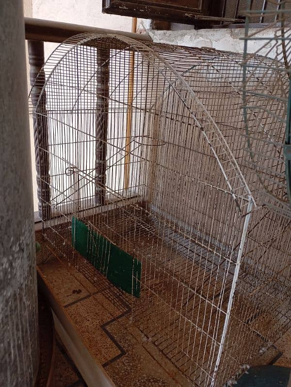 parrot cage 5