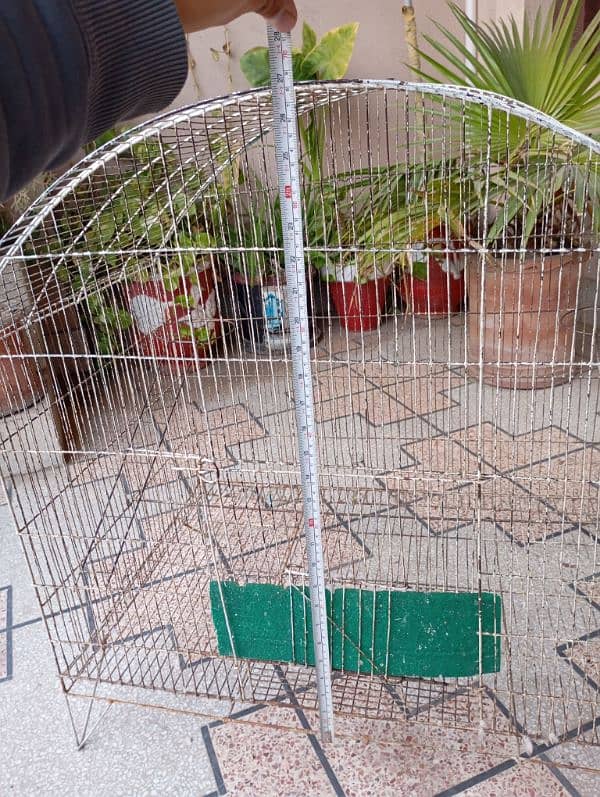 parrot cage 10