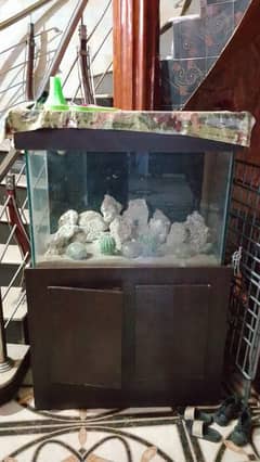 Fish aquarium