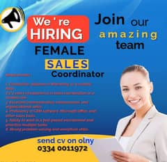 Required female Sales Coordinator | Jobs | Urgently