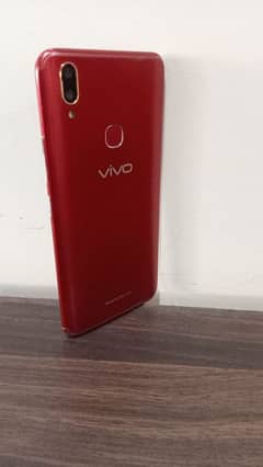 Vivo