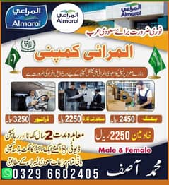 Work visa /Job Available / Job/Jobs /Jobs in Saudi Arabia /need Staff