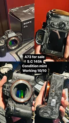 sony A7iii only body