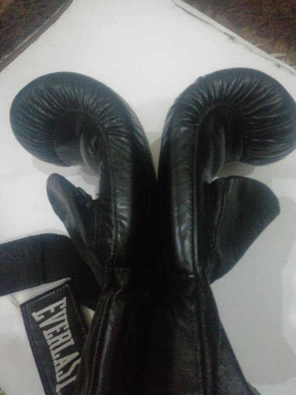 Everlast  professional Punching Gloves 1