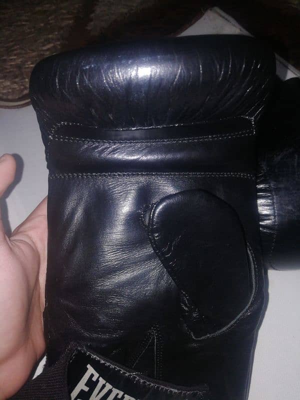 Everlast  professional Punching Gloves 4