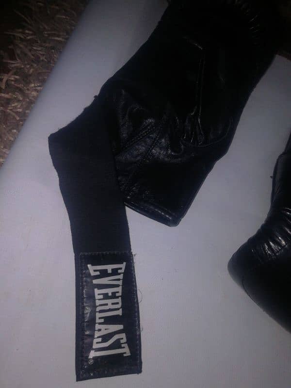 Everlast  professional Punching Gloves 5