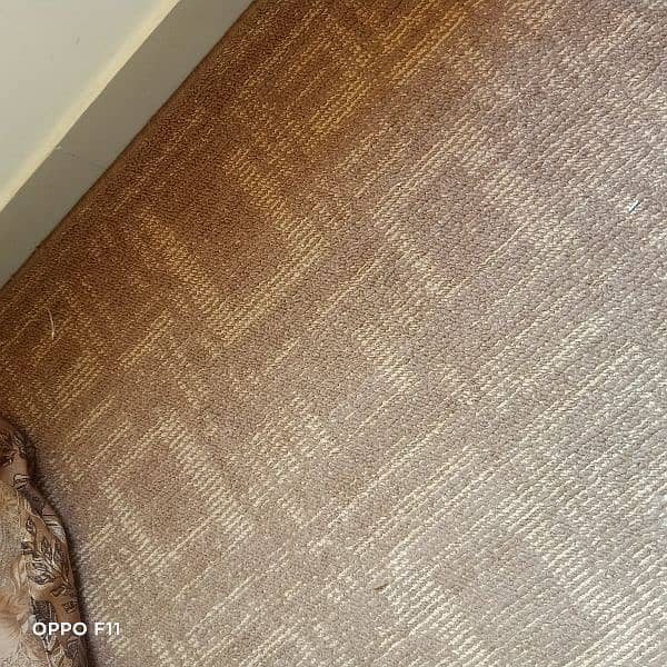 Good Condition Carpet Selling 4