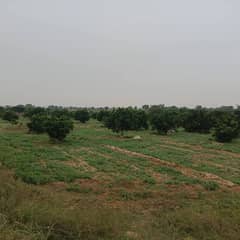 Agricultural