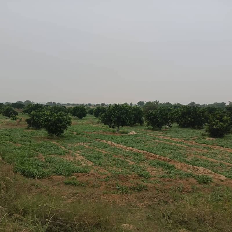 Agricultural Land 100 k Kanal with Orchard & Solar System 15 KM from Bahtar Interchange Islamabad 0