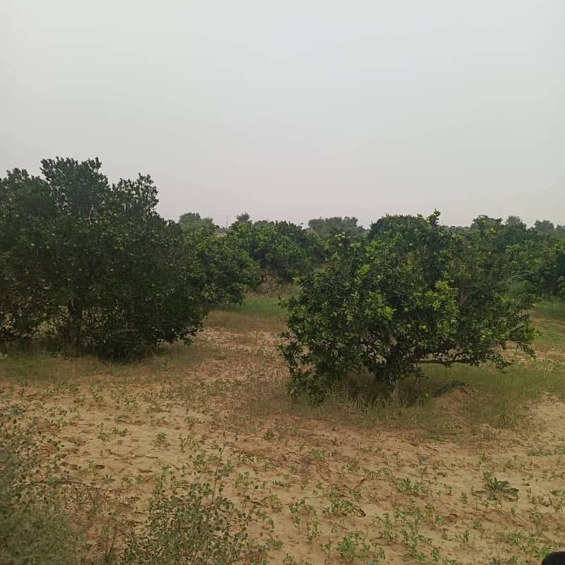 Agricultural Land 100 k Kanal with Orchard & Solar System 15 KM from Bahtar Interchange Islamabad 1