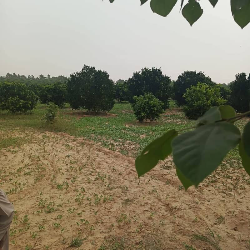 Agricultural Land 100 k Kanal with Orchard & Solar System 15 KM from Bahtar Interchange Islamabad 2