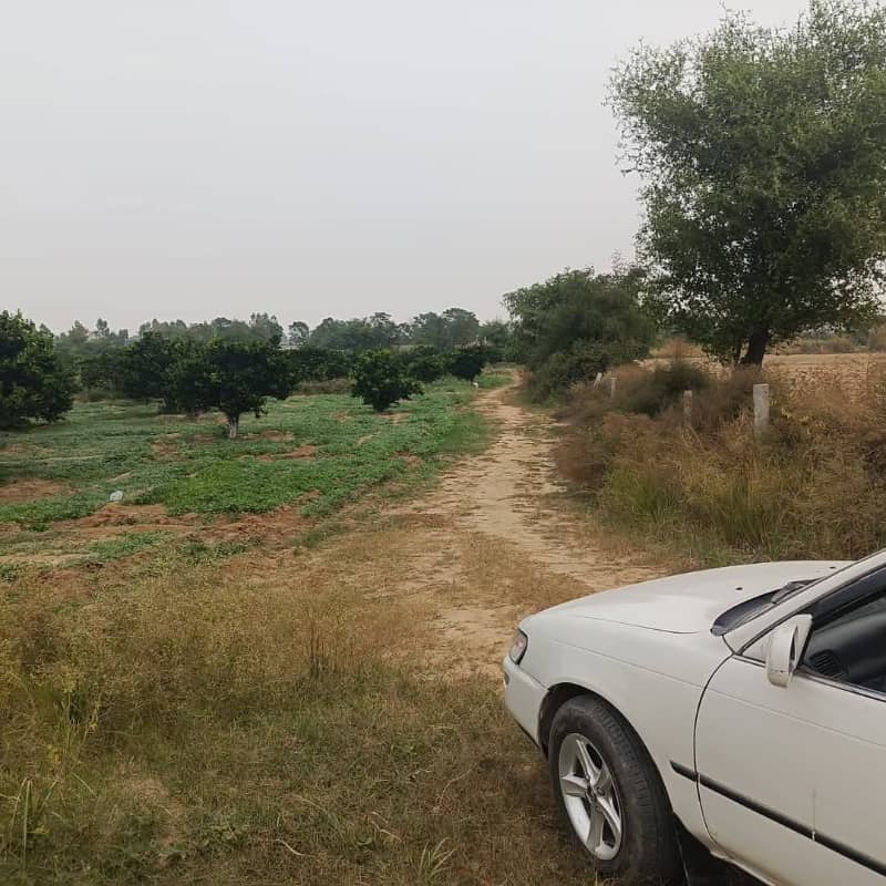 Agricultural Land 100 k Kanal with Orchard & Solar System 15 KM from Bahtar Interchange Islamabad 4