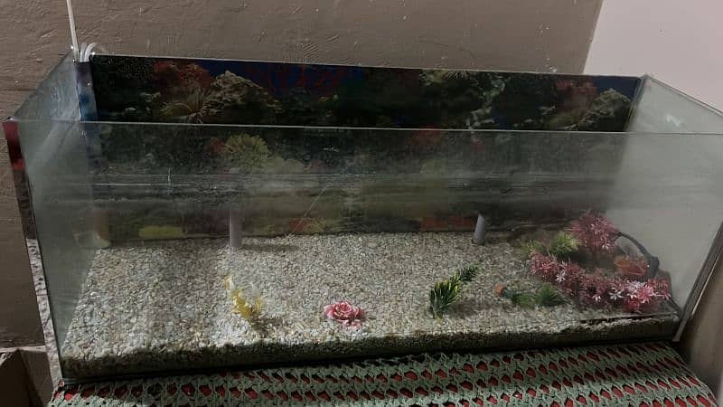 new aquarium full accessories 2