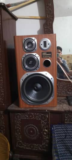 Aiwa wofar speaker