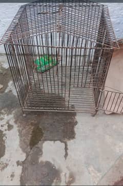 Pinjra/Cage Hen