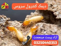 Termite | Pest Control | Fumigation Services