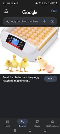 Egg hatching