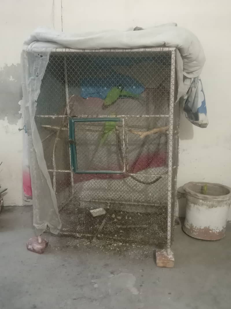 Best cage for birds breeding 0