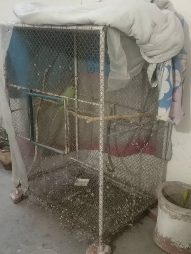 Best cage for birds breeding 1