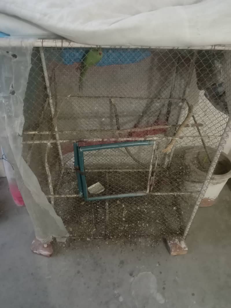 Best cage for birds breeding 3