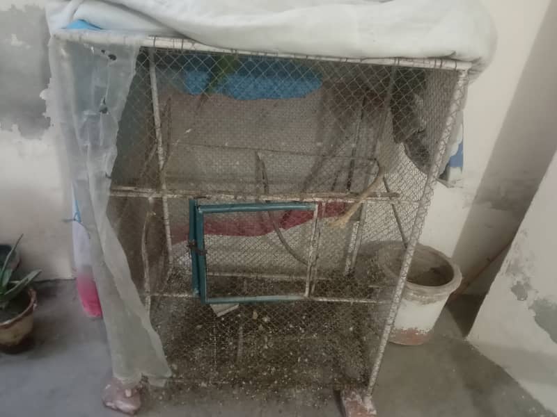 Best cage for birds breeding 4