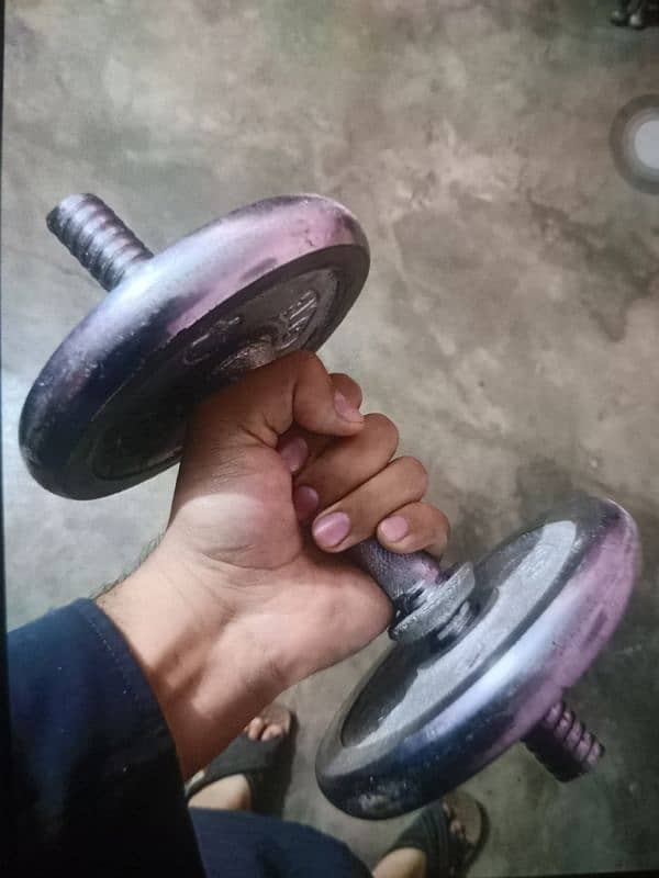 Dumbells 6Kg Pair 1