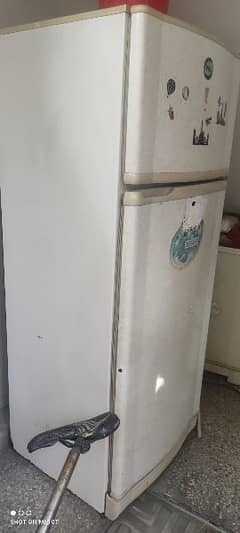 pal fridge full size without compraser in very reasonable price