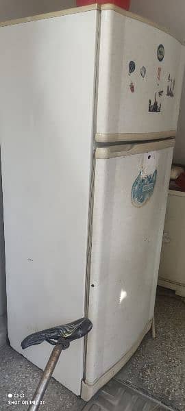 pal fridge full size without compraser in very reasonable price 0