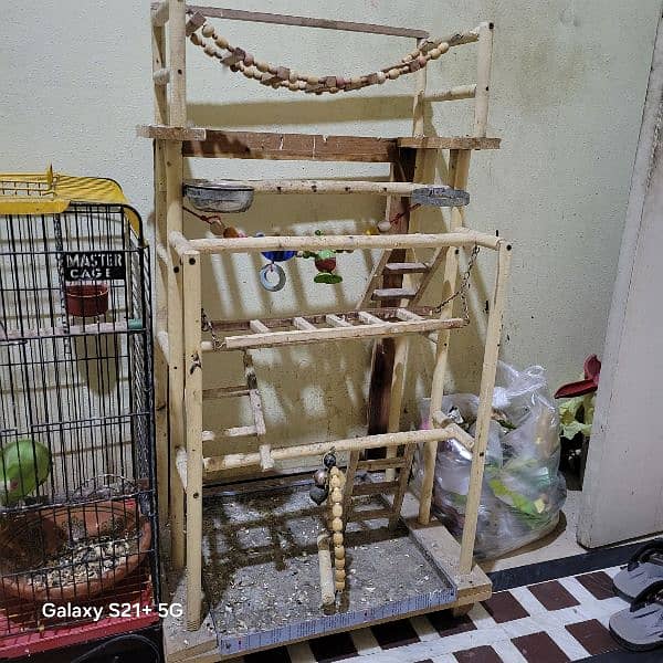 Ringneck Pair With Iron Cage and wooden Stand 1