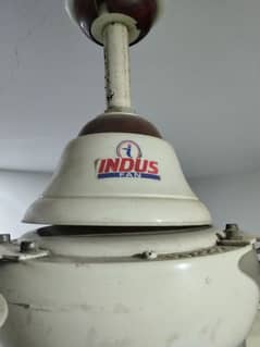 Indus Fans 4