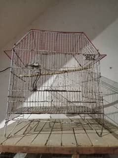 wooden cages & feeding box