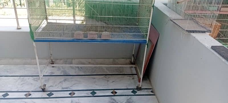 Colony Cage For Sale 0