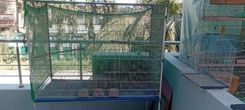 Colony Cage For Sale 1