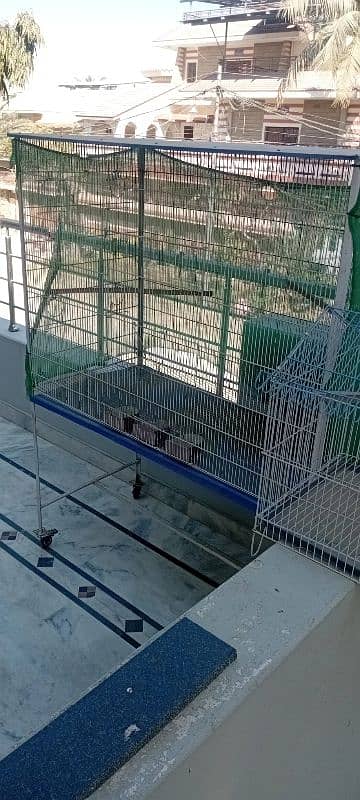 Colony Cage For Sale 3