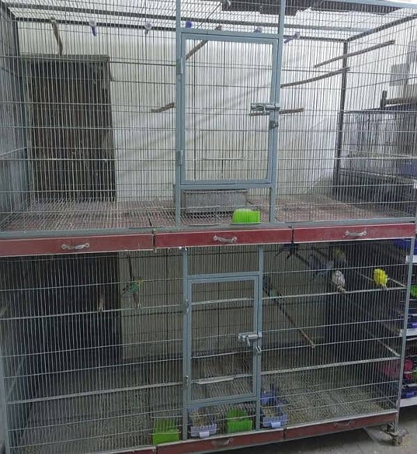 Cage for Bird's 0