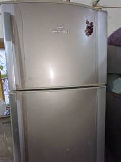 Downlance fridge full size