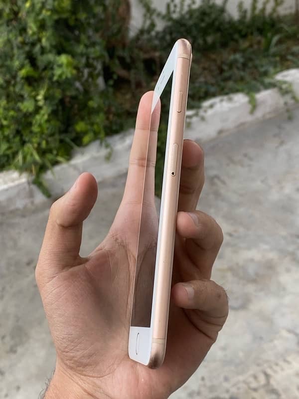 IPHONE 8PLUS PTA APPROVED 3