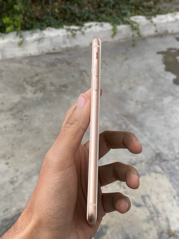 IPHONE 8PLUS PTA APPROVED 4