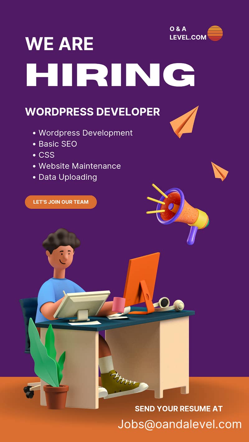 Wordpress Developer Required in Vehari 0