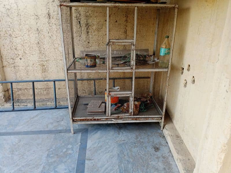 cage for parrots and hen 1