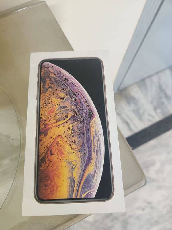 Xs max (Pta proof) 256 5