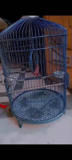 parrot cage