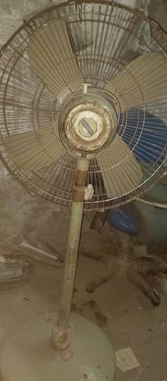 pedestal fan 220 v