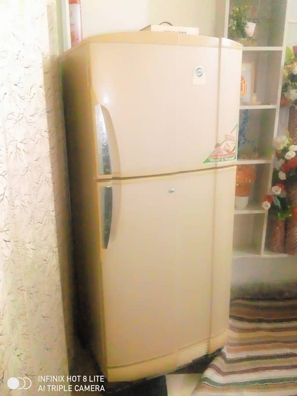 PELL Fridge For Sale 1